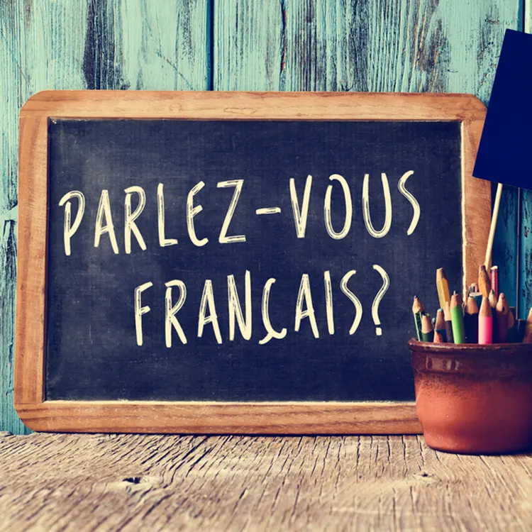 French, an international language